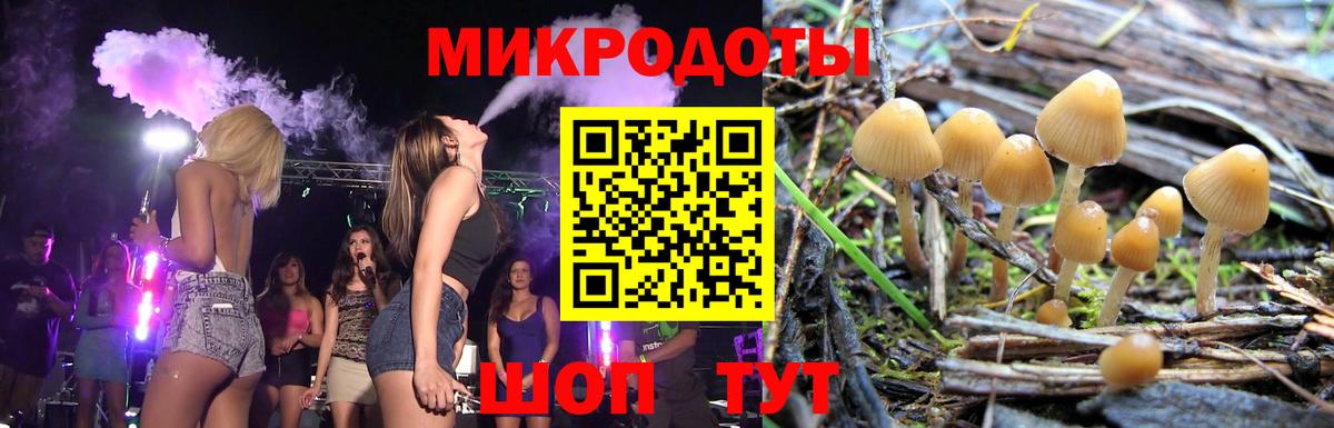 Псилоцибиновые грибы мицелий  Вход с VPN  Ставрополь 